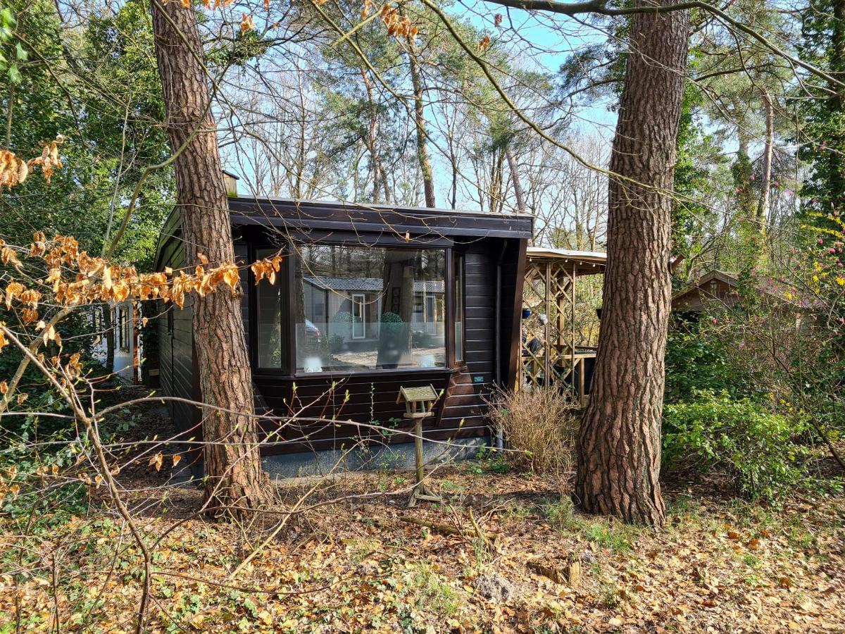 Chalet Boslust Villa IJhorst Esterno foto
