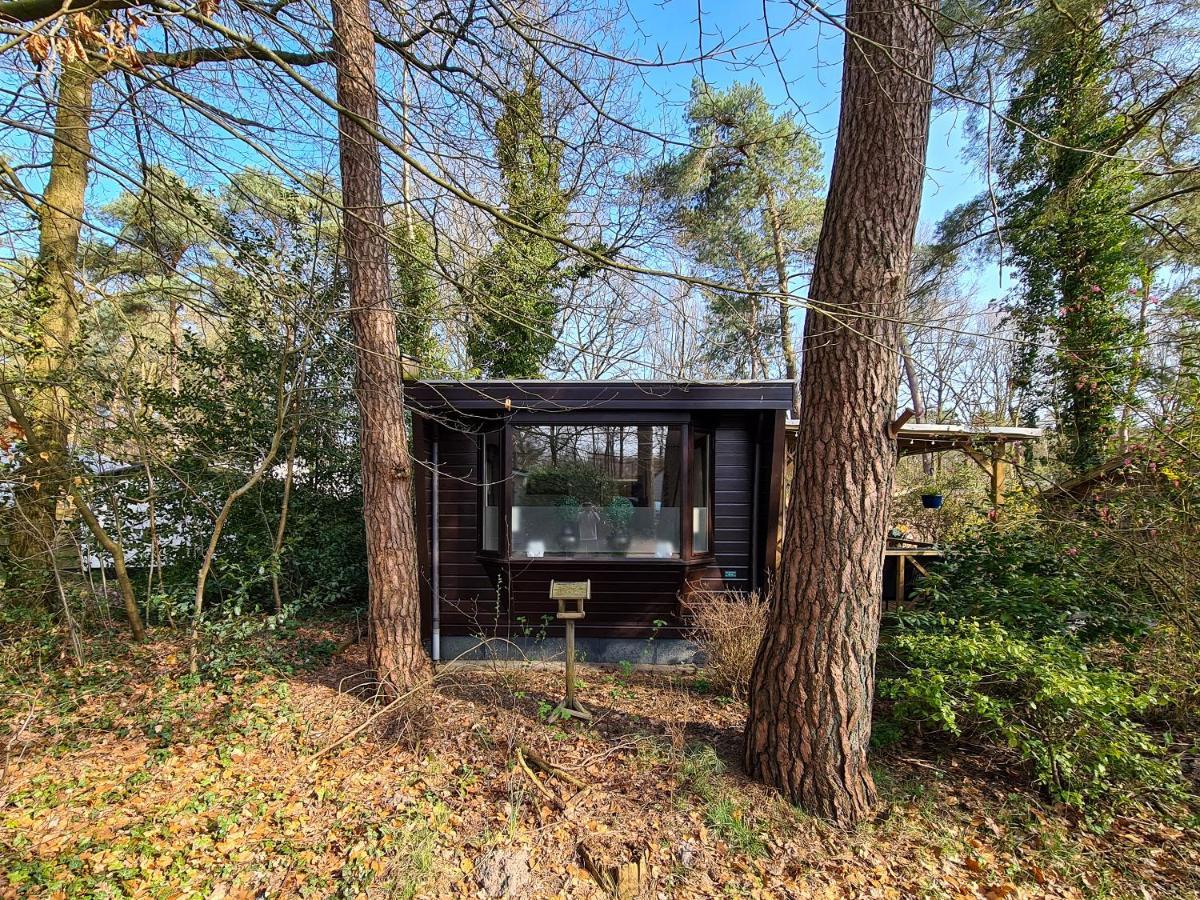 Chalet Boslust Villa IJhorst Esterno foto