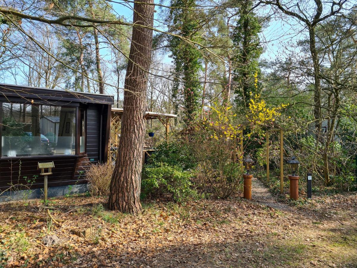 Chalet Boslust Villa IJhorst Esterno foto
